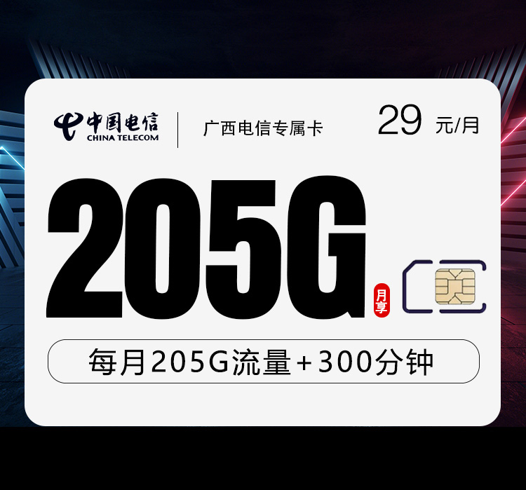 广西电信专享卡【29元205G+300分钟】