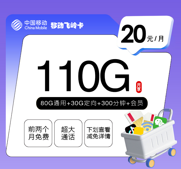 移动飞岭卡【20元110G+300分钟+会员】