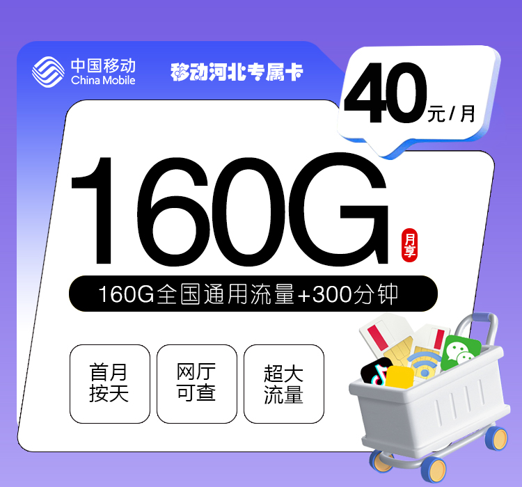 移动河北专属卡2.0【40元160G+300分钟】