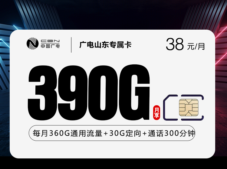 广电山东专属卡【38元390G+300分钟】
