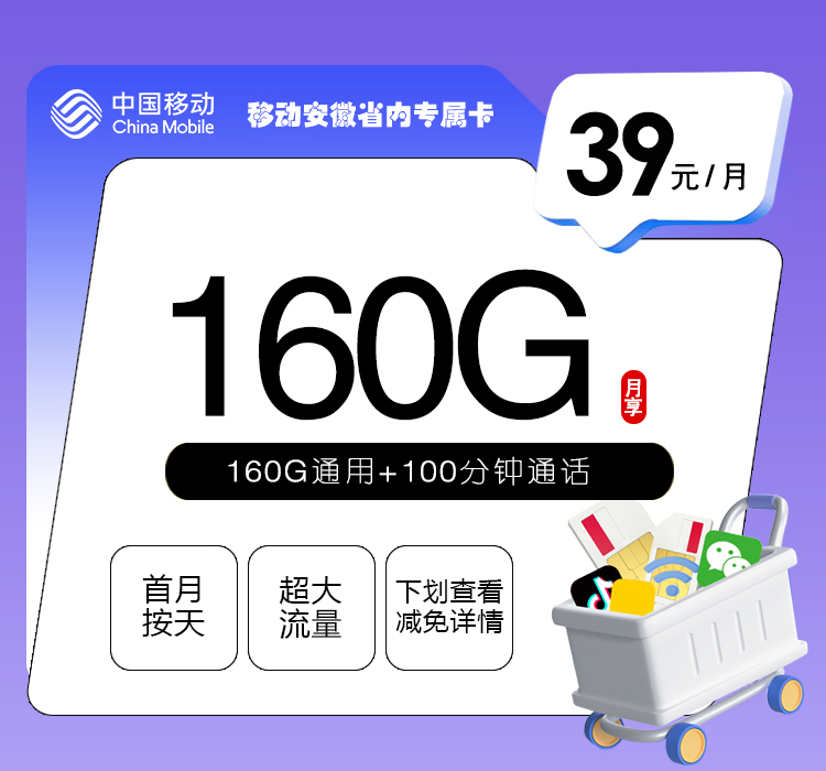 安徽省内移动专属卡【39元160G+100分钟】