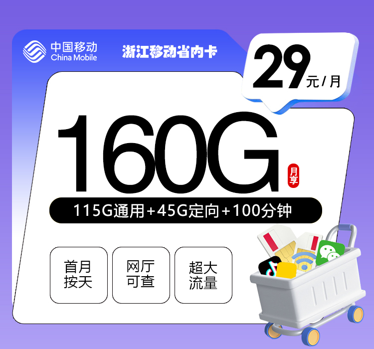 浙江移动省内卡【29元160G+100分钟】