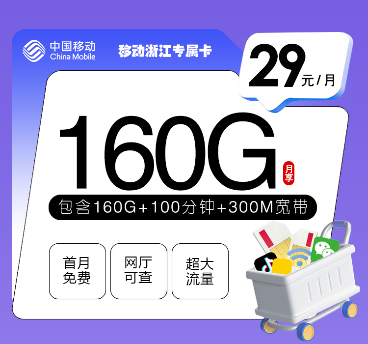 移动浙江专属卡【29元160G+100分钟+300M宽带】
