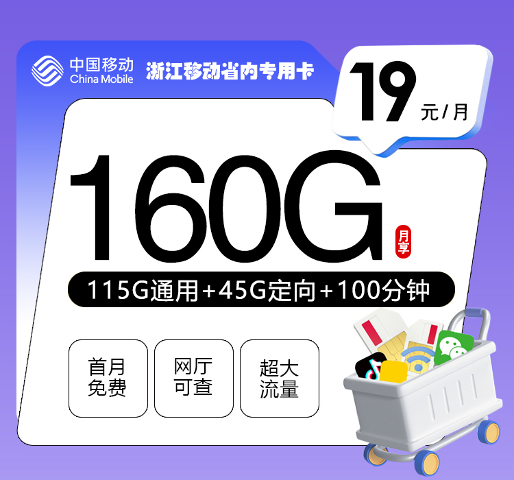 浙江移动省内专用卡【19元160G+100分钟】