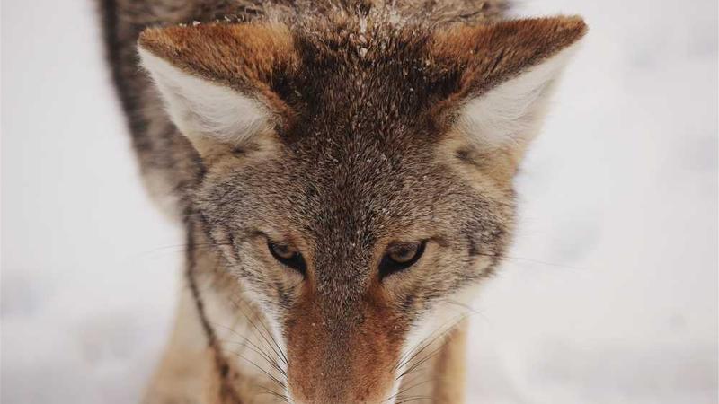 流量卡套餐变更和注销指南